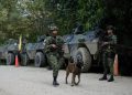Operación contra red del ELN y explosivos hallados elevan la presión en el Catatumbo
