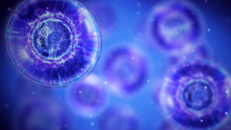 Descubren molécula clave en el origen de la vida