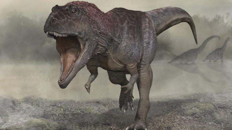 Hallan restos de dinosaurio carnívoro